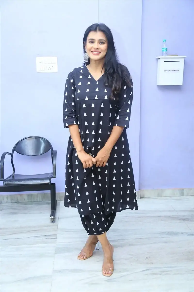 TELUGU ACTRESS HEBAH PATEL AT VYAVASTHA WEB SERIES THANKS MEET 2